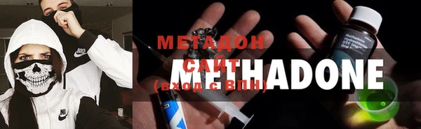 прущие грибы Абдулино