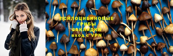 МДПВ Абаза