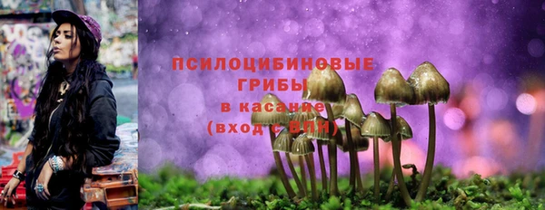 мяу мяу мука Абинск