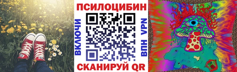 KRAKEN ссылка  Кудымкар  Псилоцибиновые грибы ЛСД 